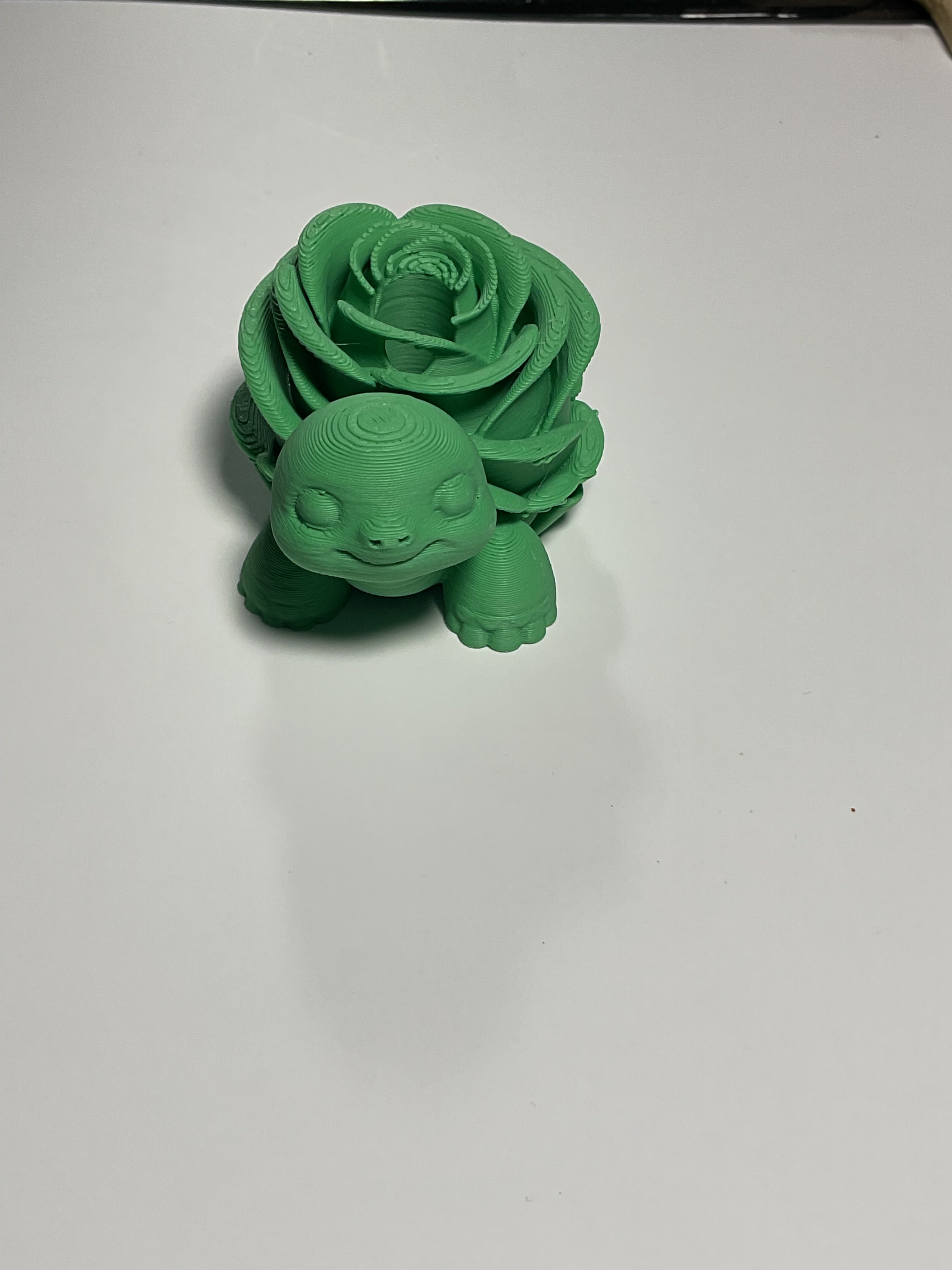Oversized Straw Topper - Green Turtle/Rose Back