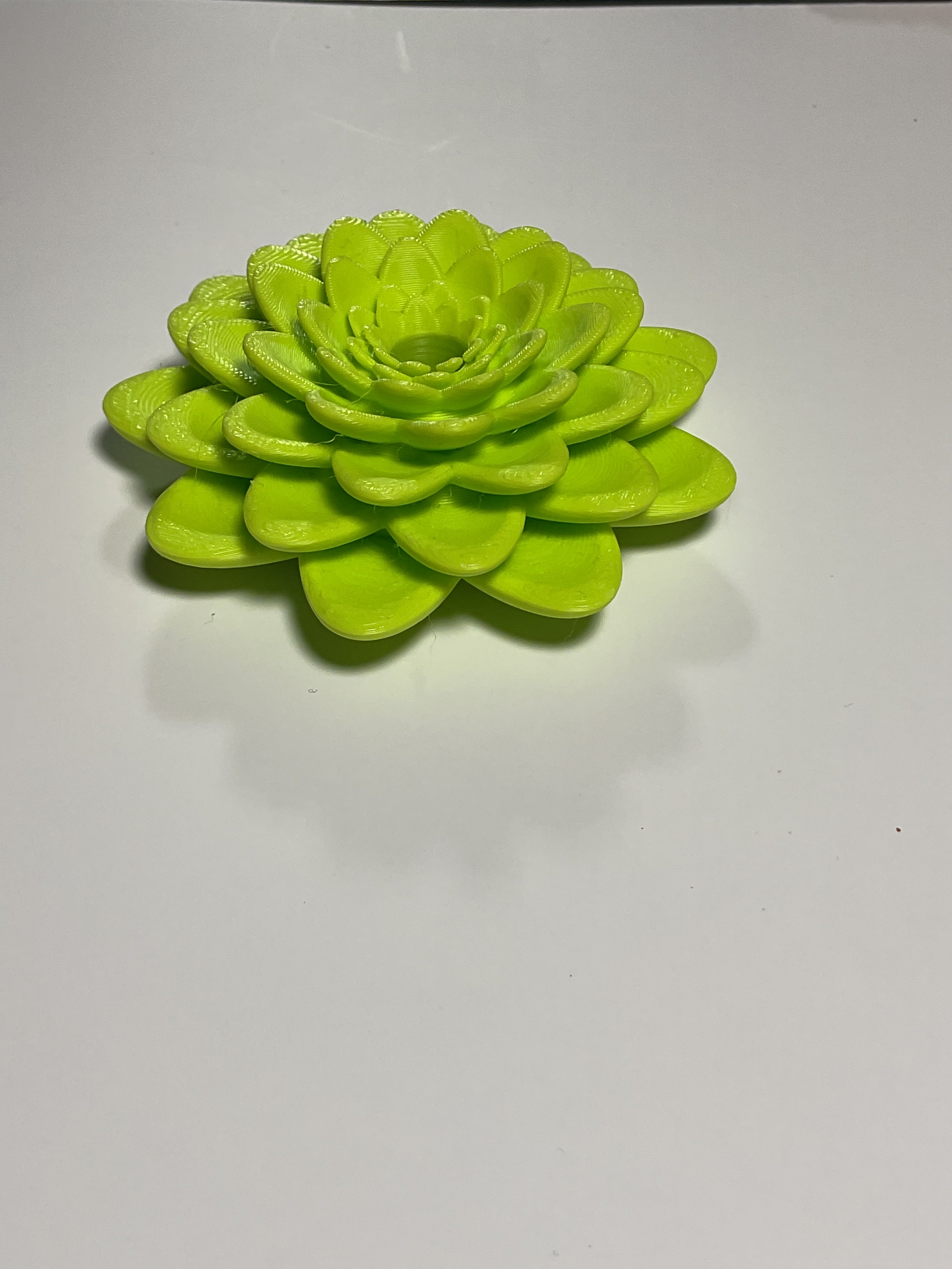 Oversized Straw Topper - Light Green Succulent