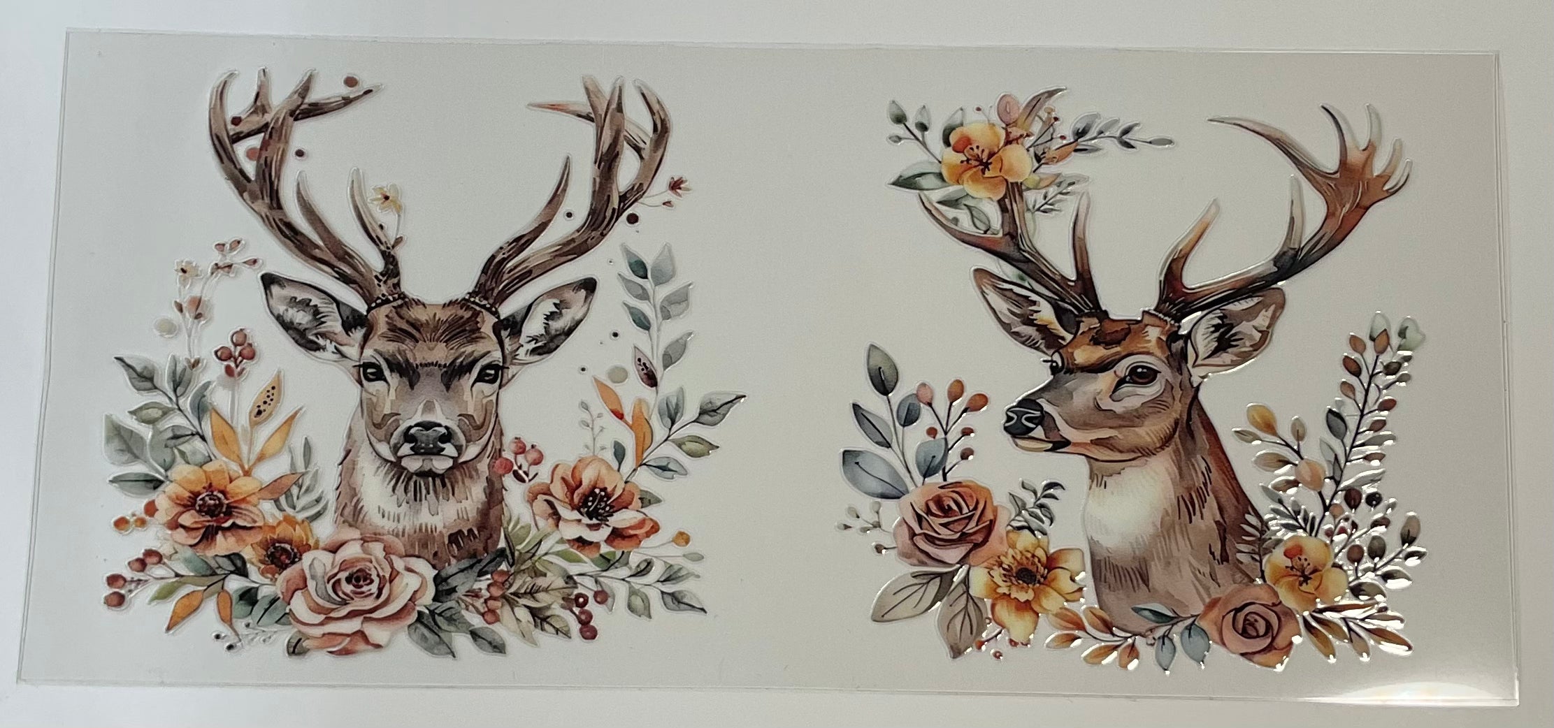Hunting/Deer