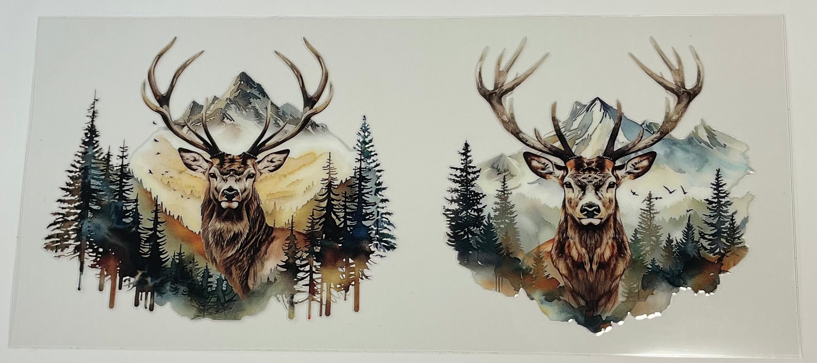 Hunting/Deer-5