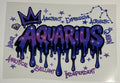 Aquarius Zodiac Sign