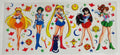 Sailor Moon(2)