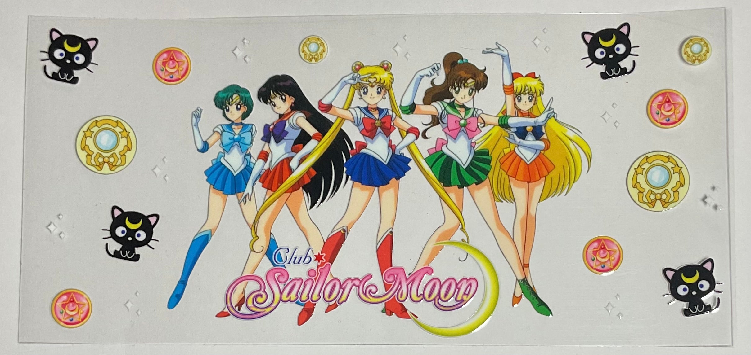 Sailor Moon(3)