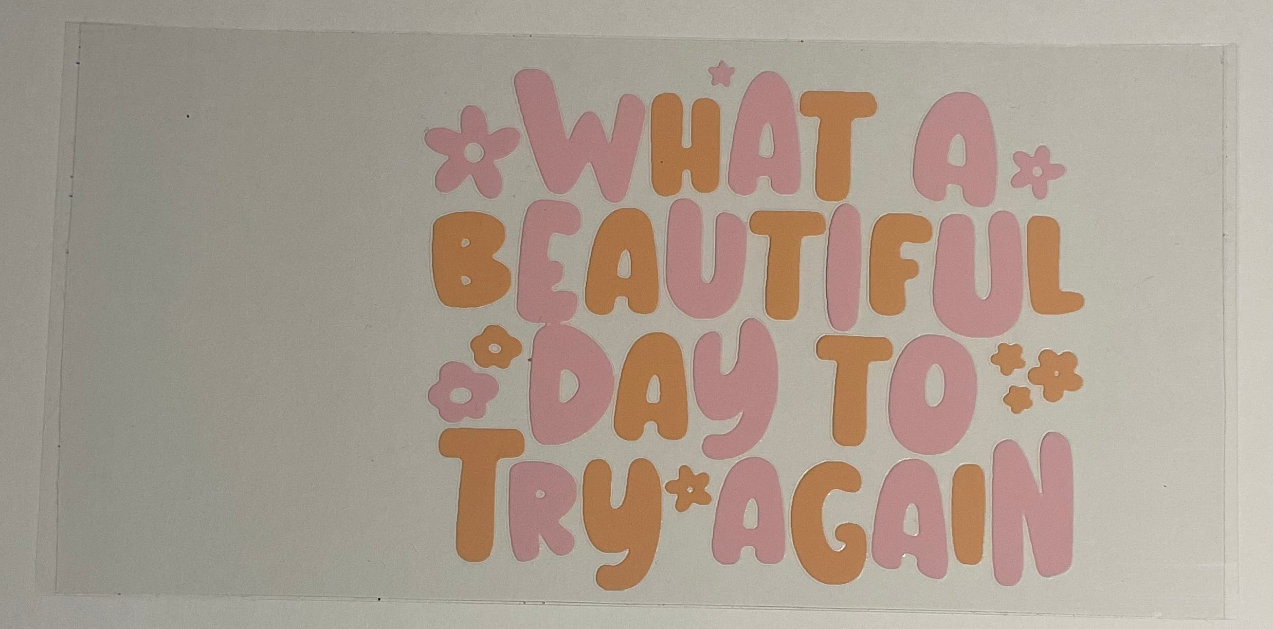 What a beautiful day to try again...