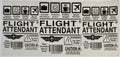 Flight Attendant