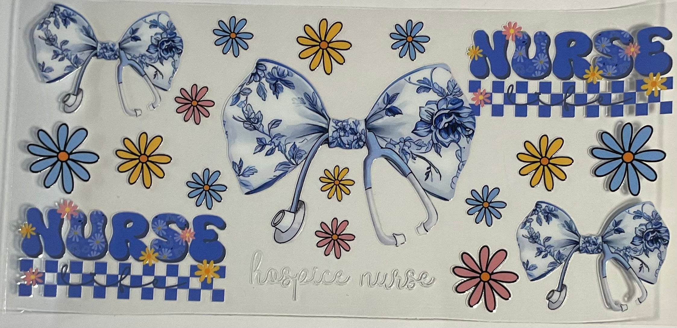 Hospice Nurse