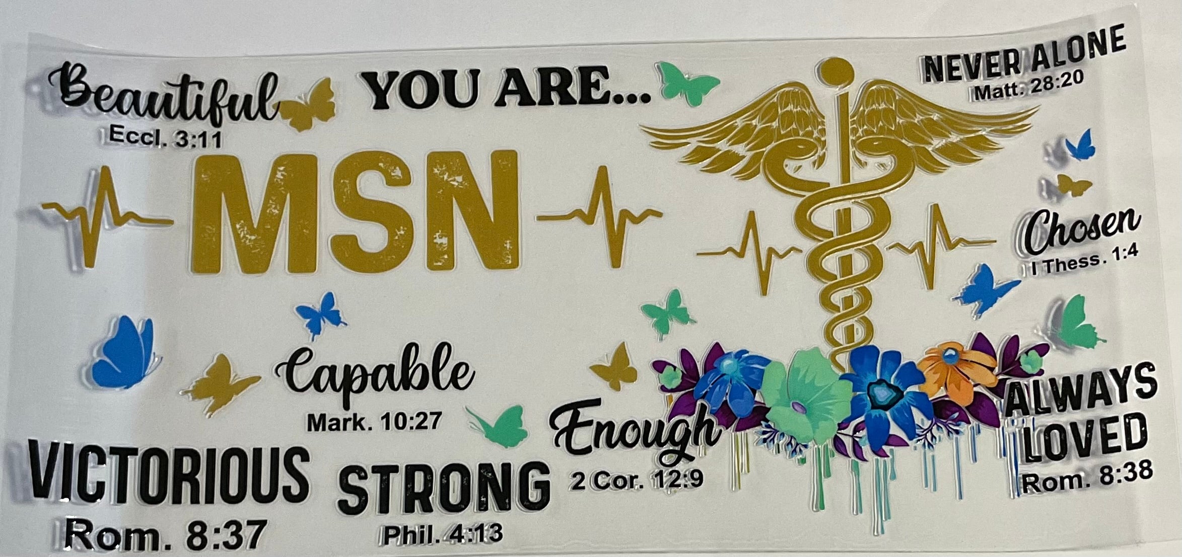 MSN( Master's of Science of Nursing)