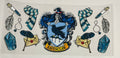 Harry Potter(Ravenclaw)