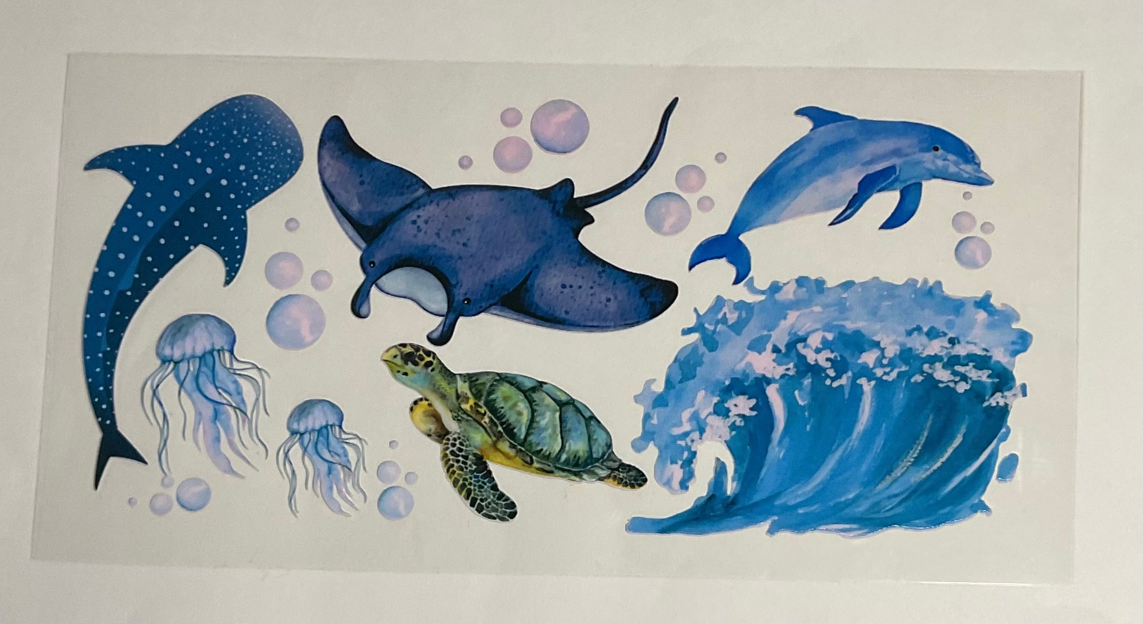 Sea Life