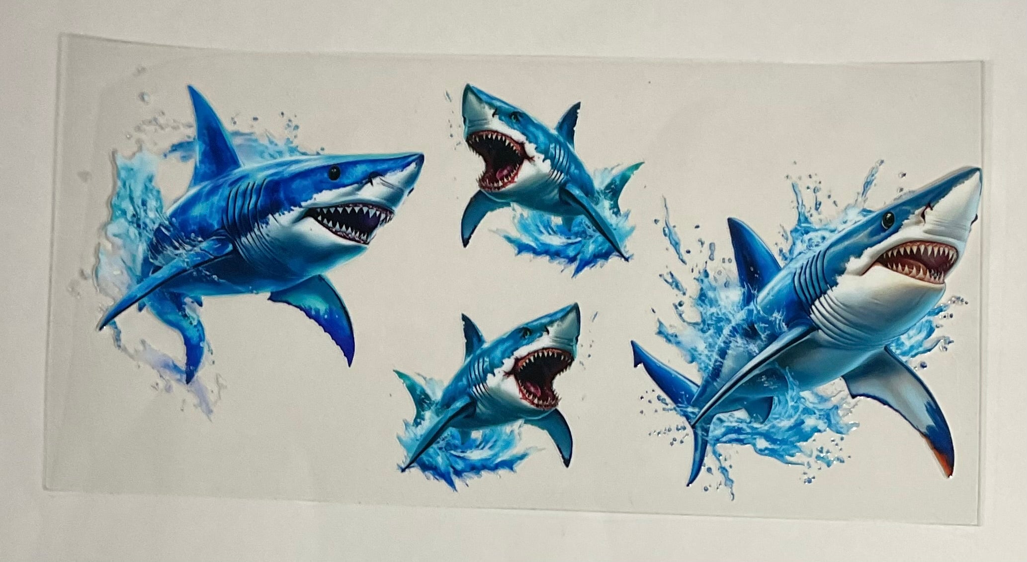 Sharks(Great White)