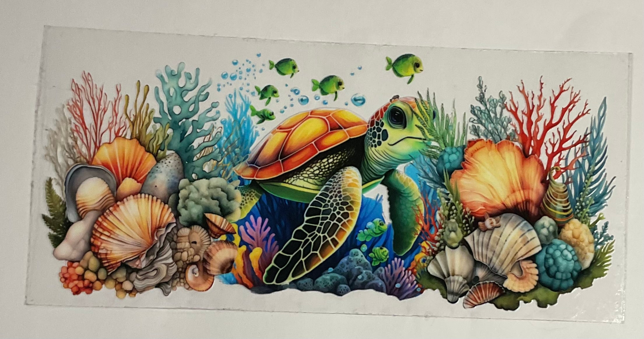Turtle
