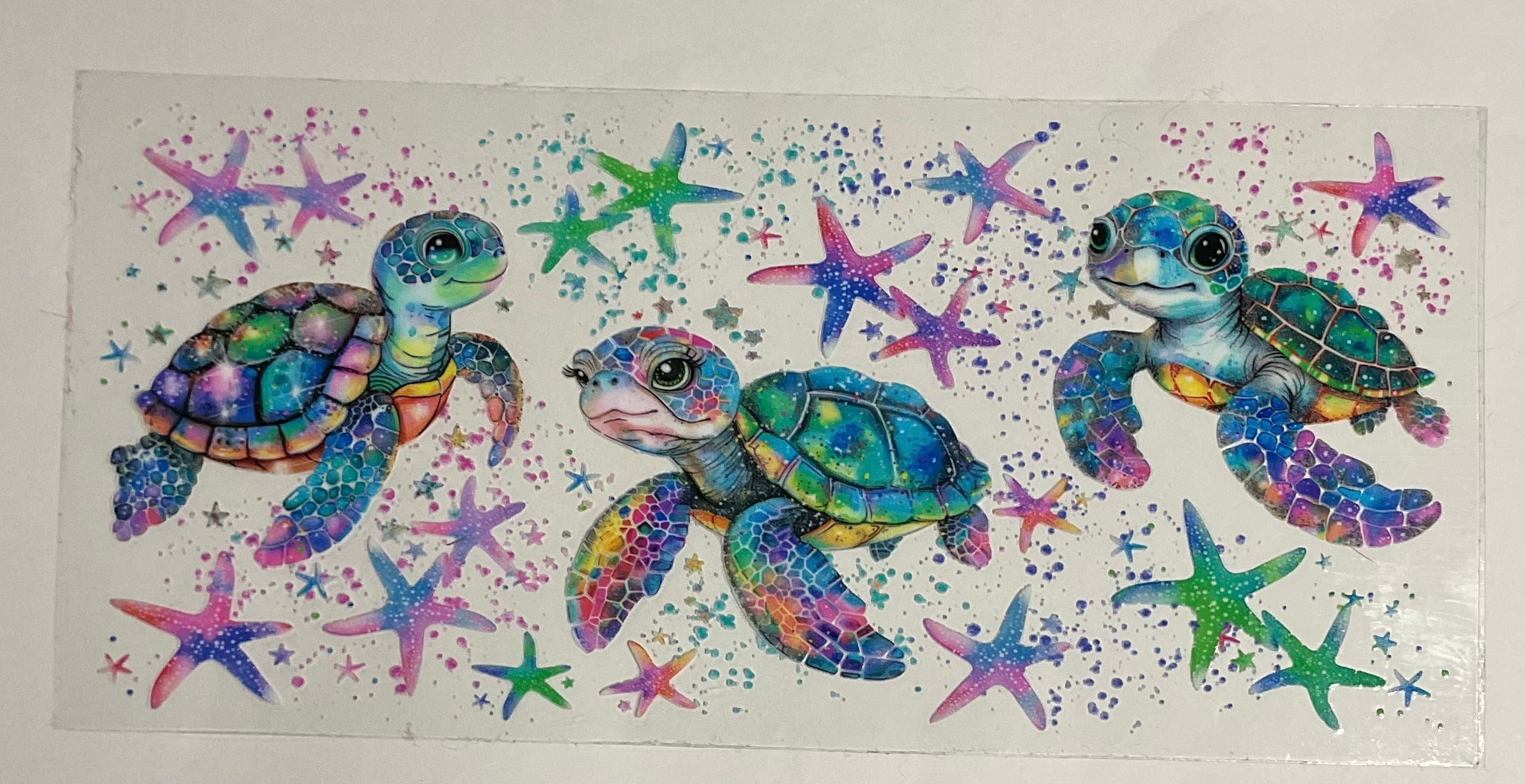 Turtle