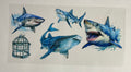 Sharks