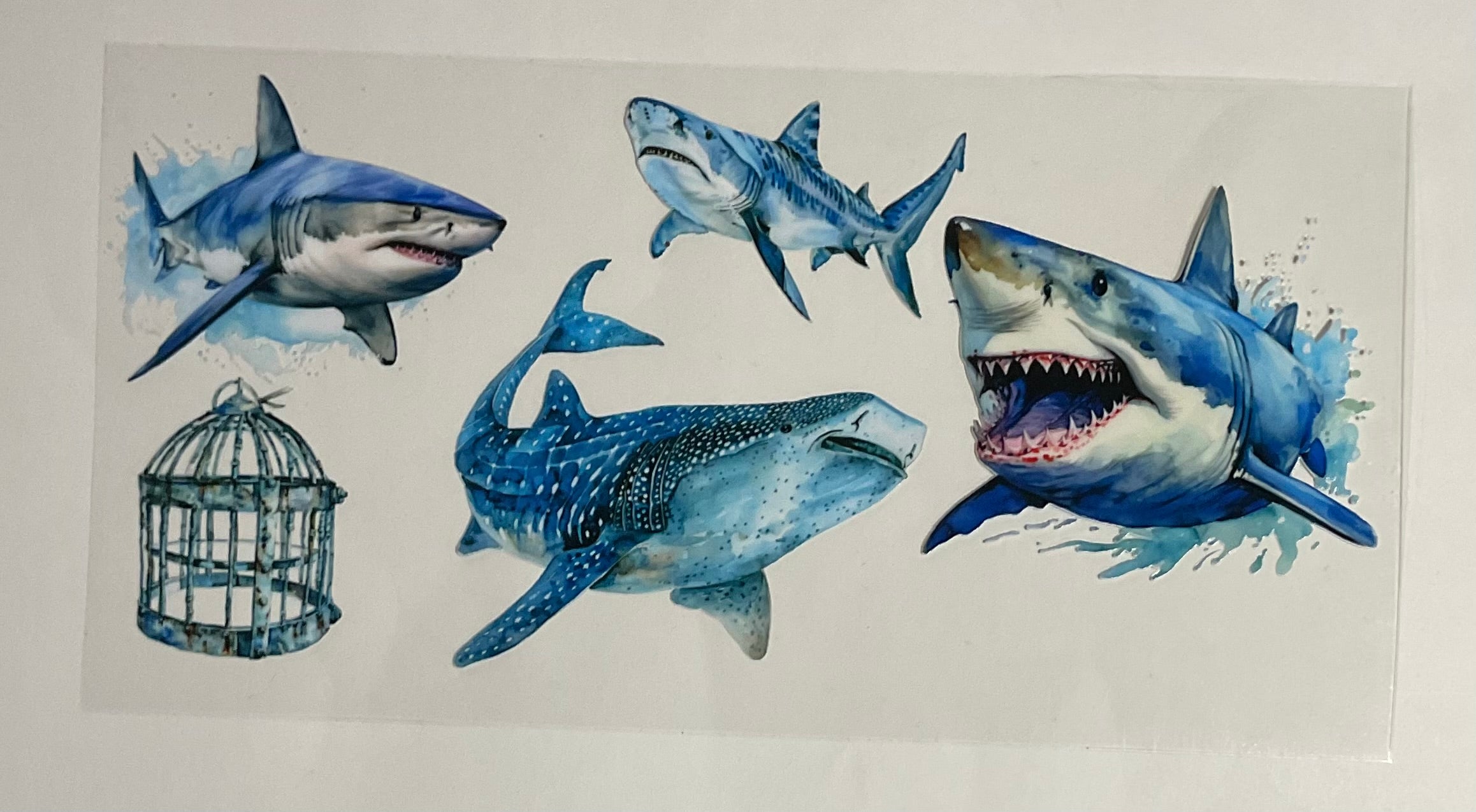 Sharks