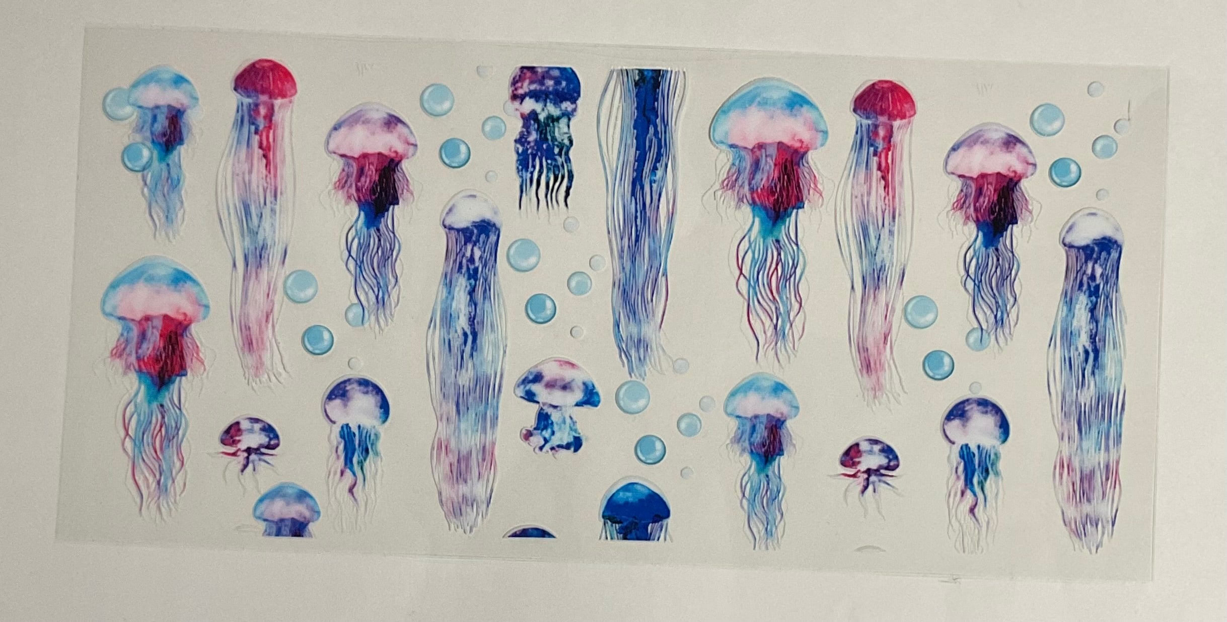Jellyfish