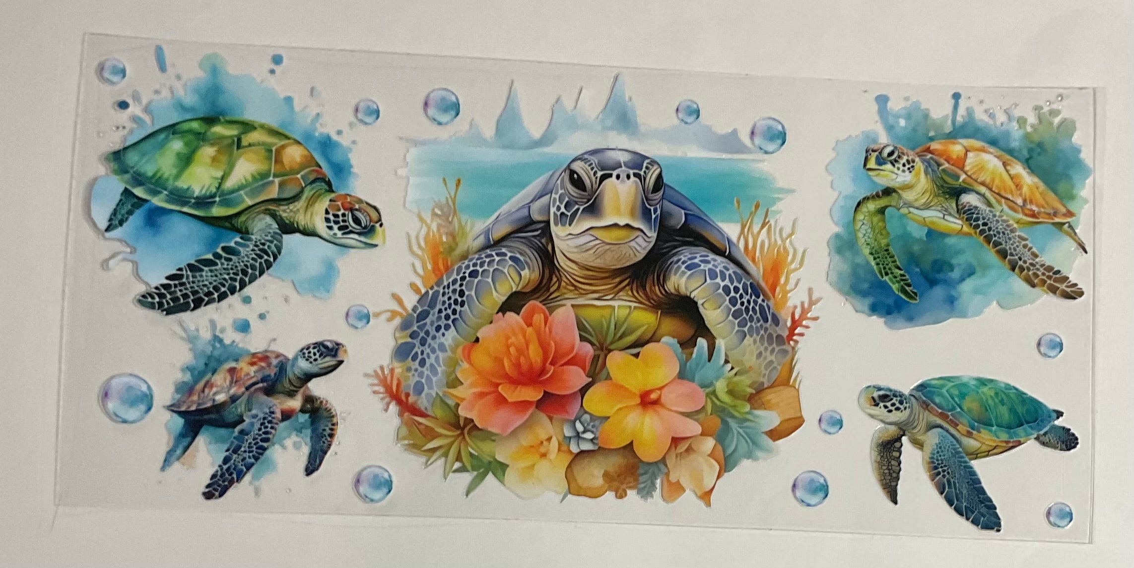 Turtles