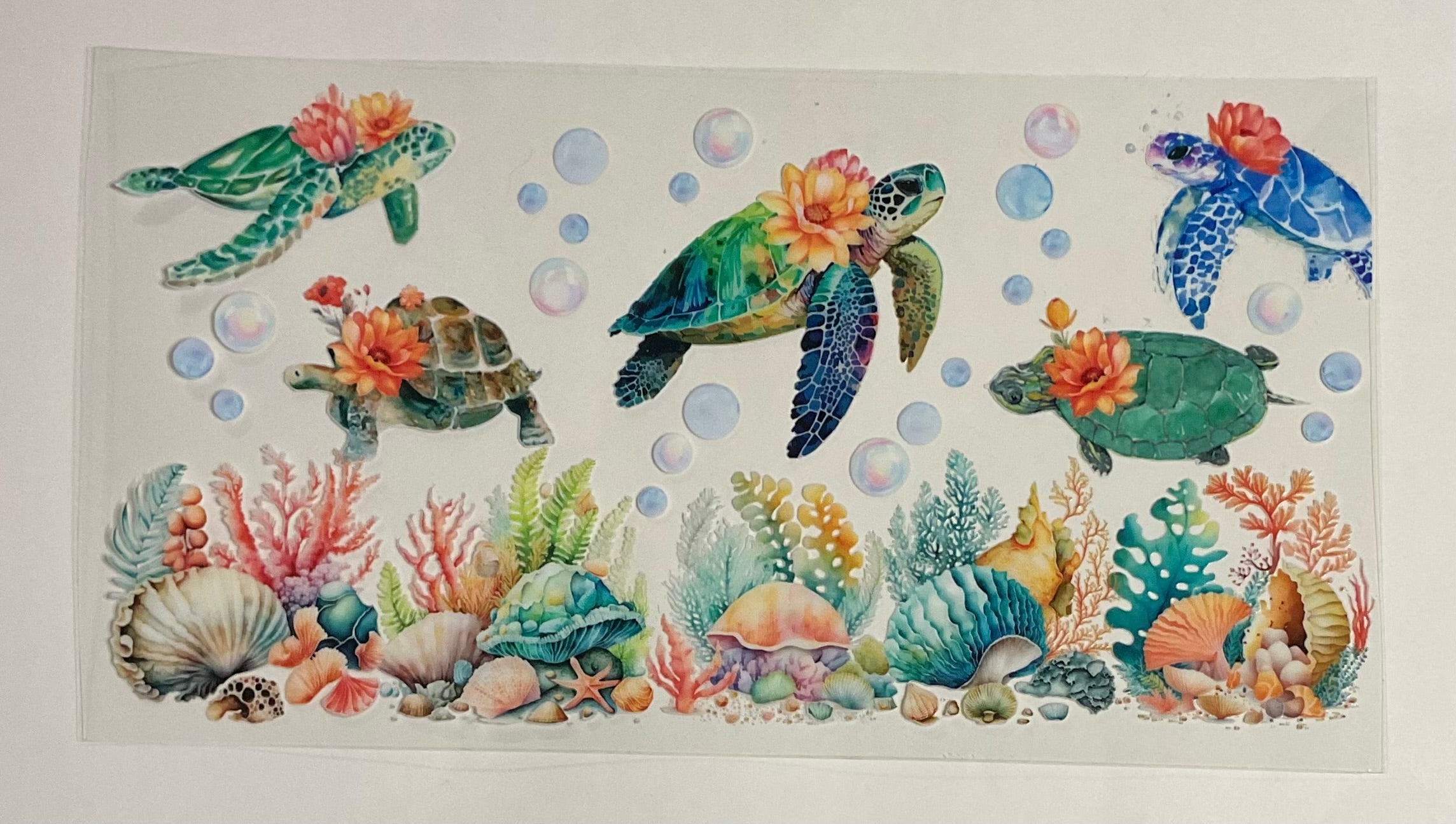 Turtle