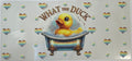 Duck- "What the duck"