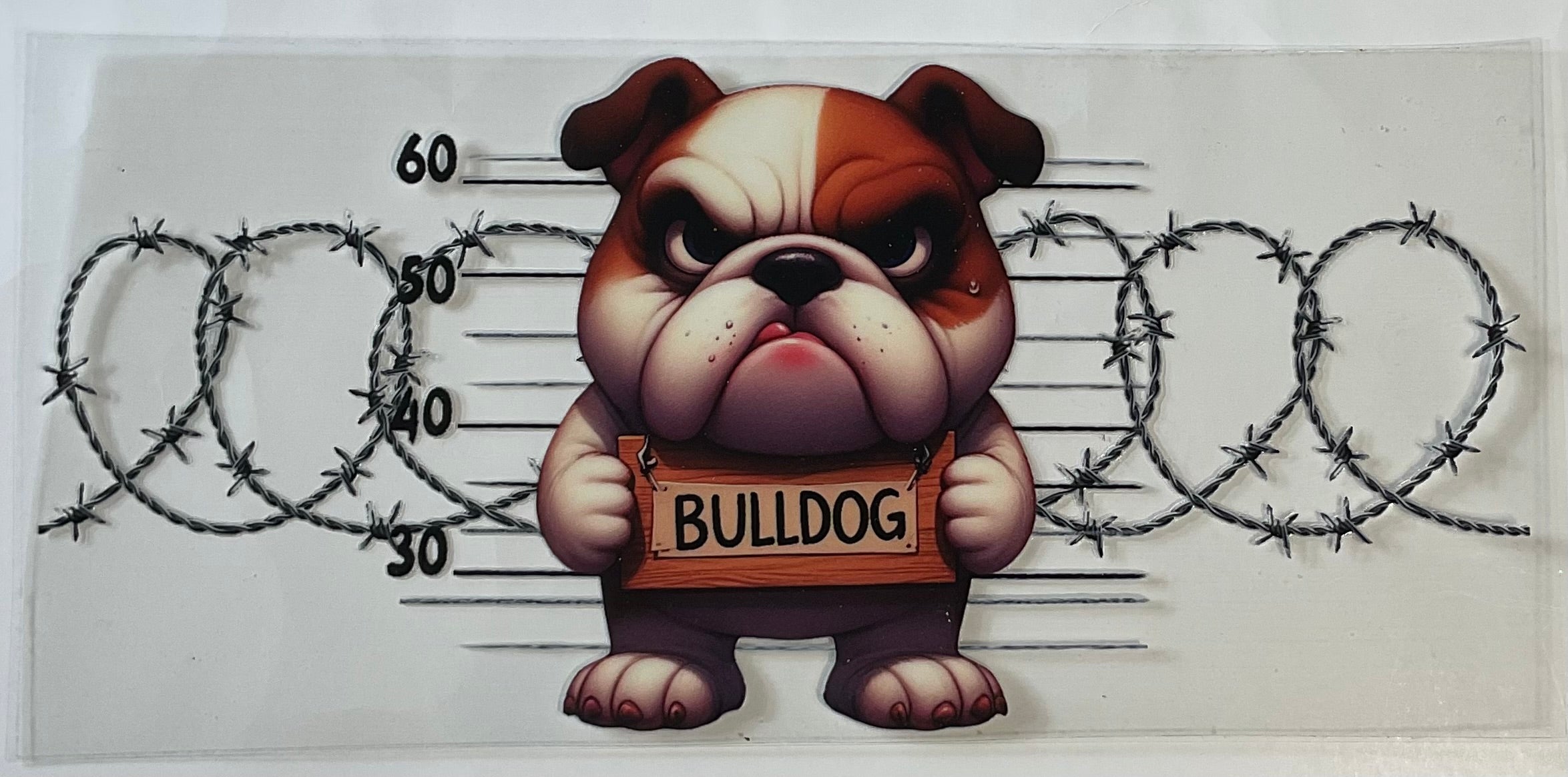 Bulldog