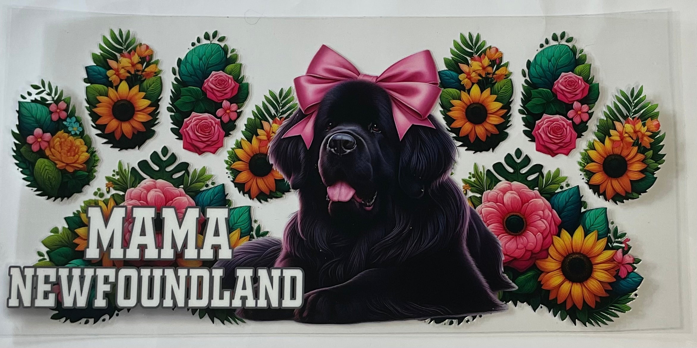 Newfoundland