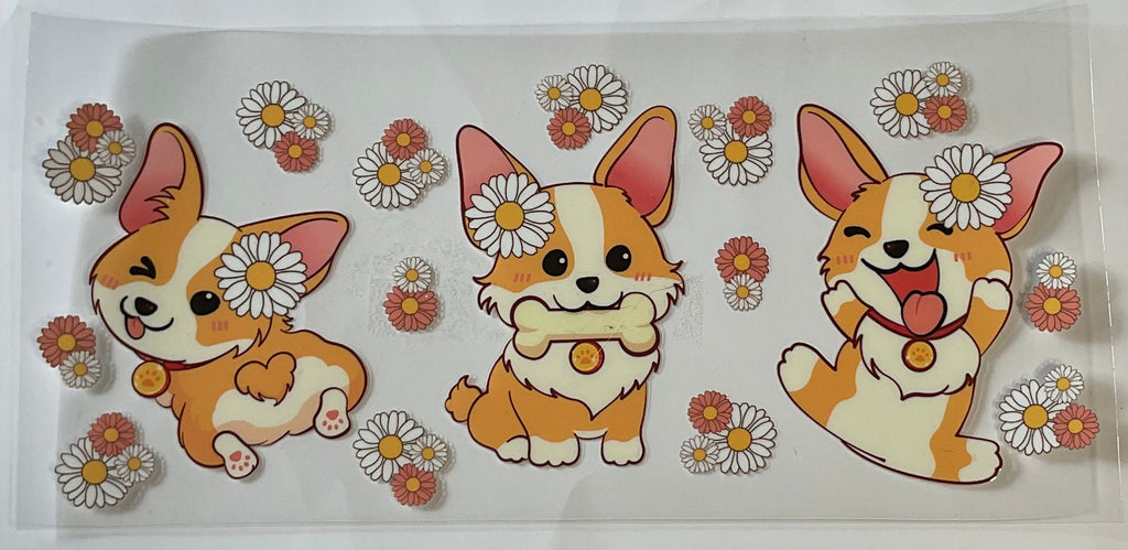 Corgi