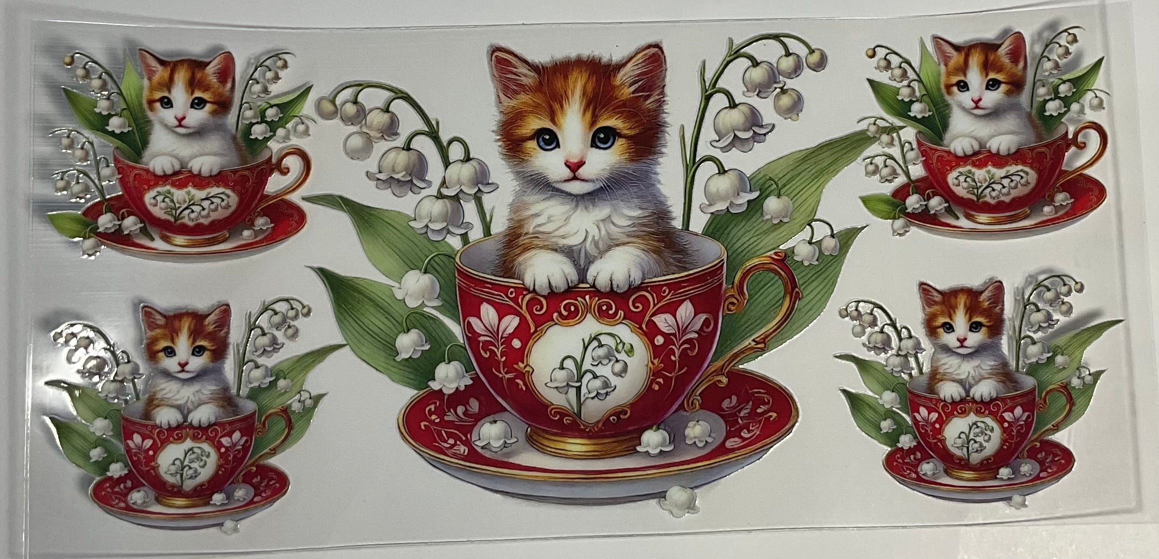 Cats
