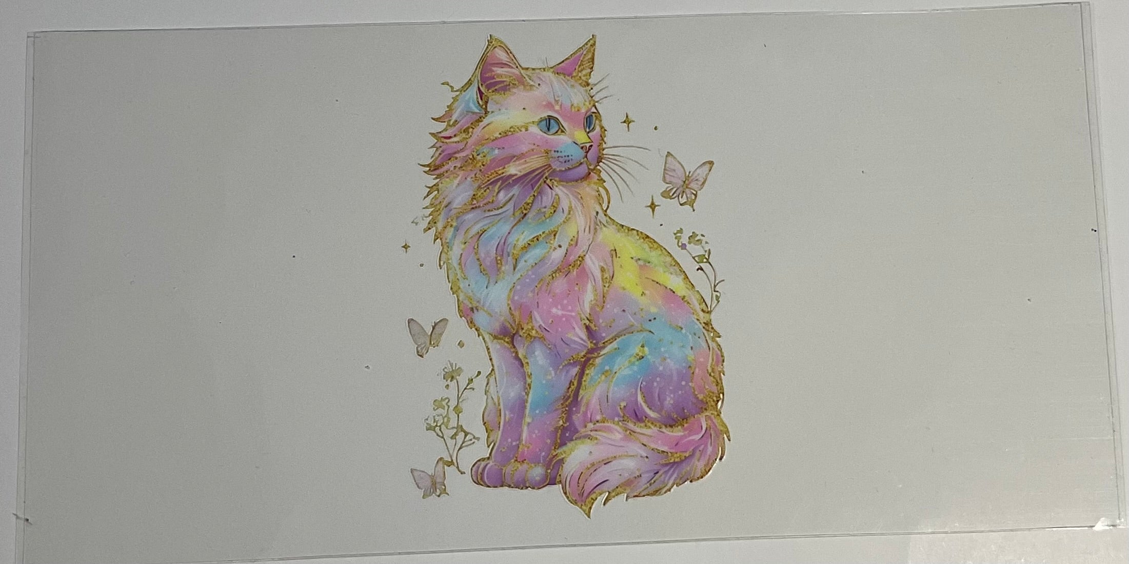 Fluffy Cat