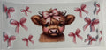 Cows