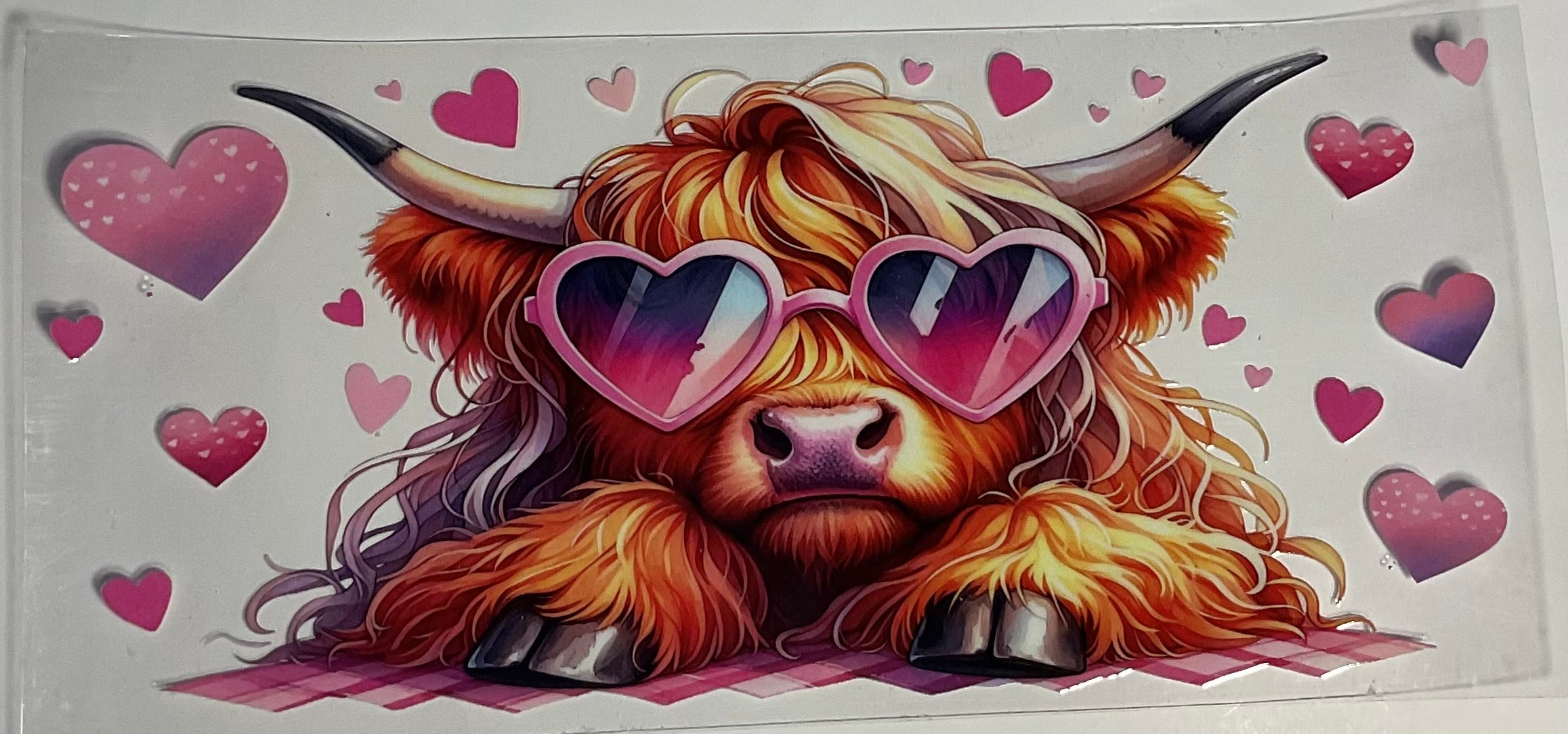 Cows(Sunglasses)