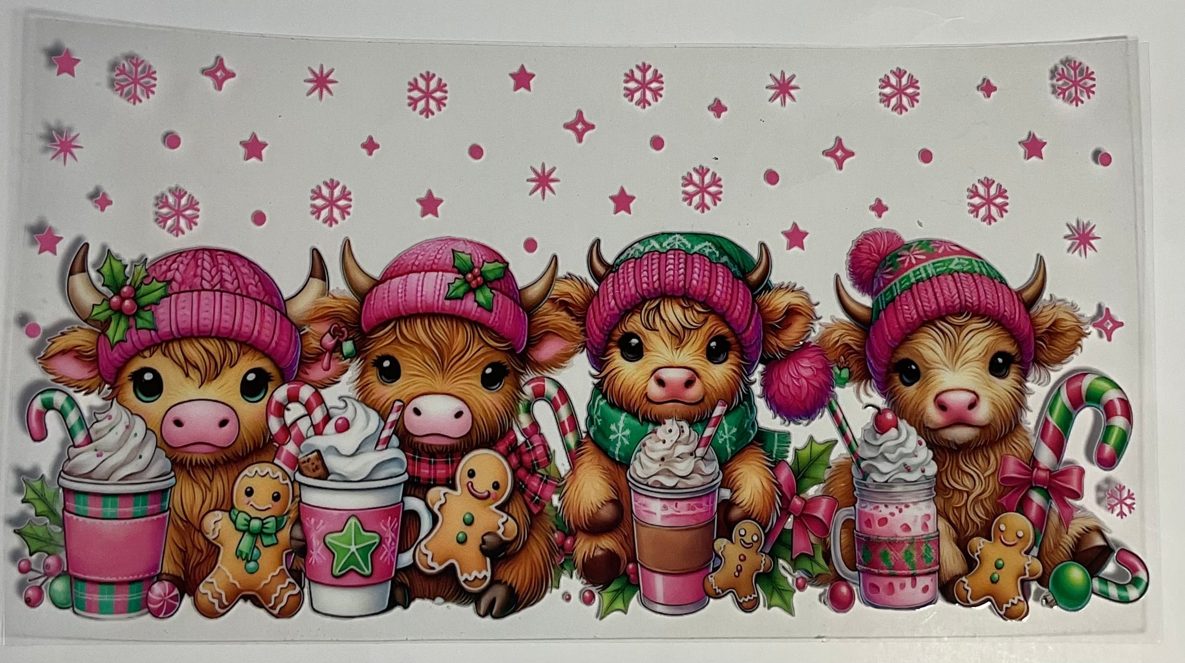 Cows