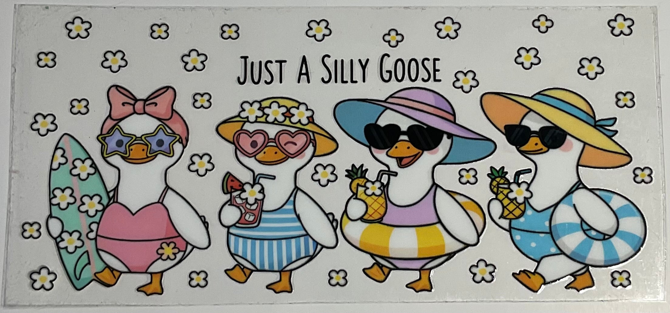 Just a silly goose