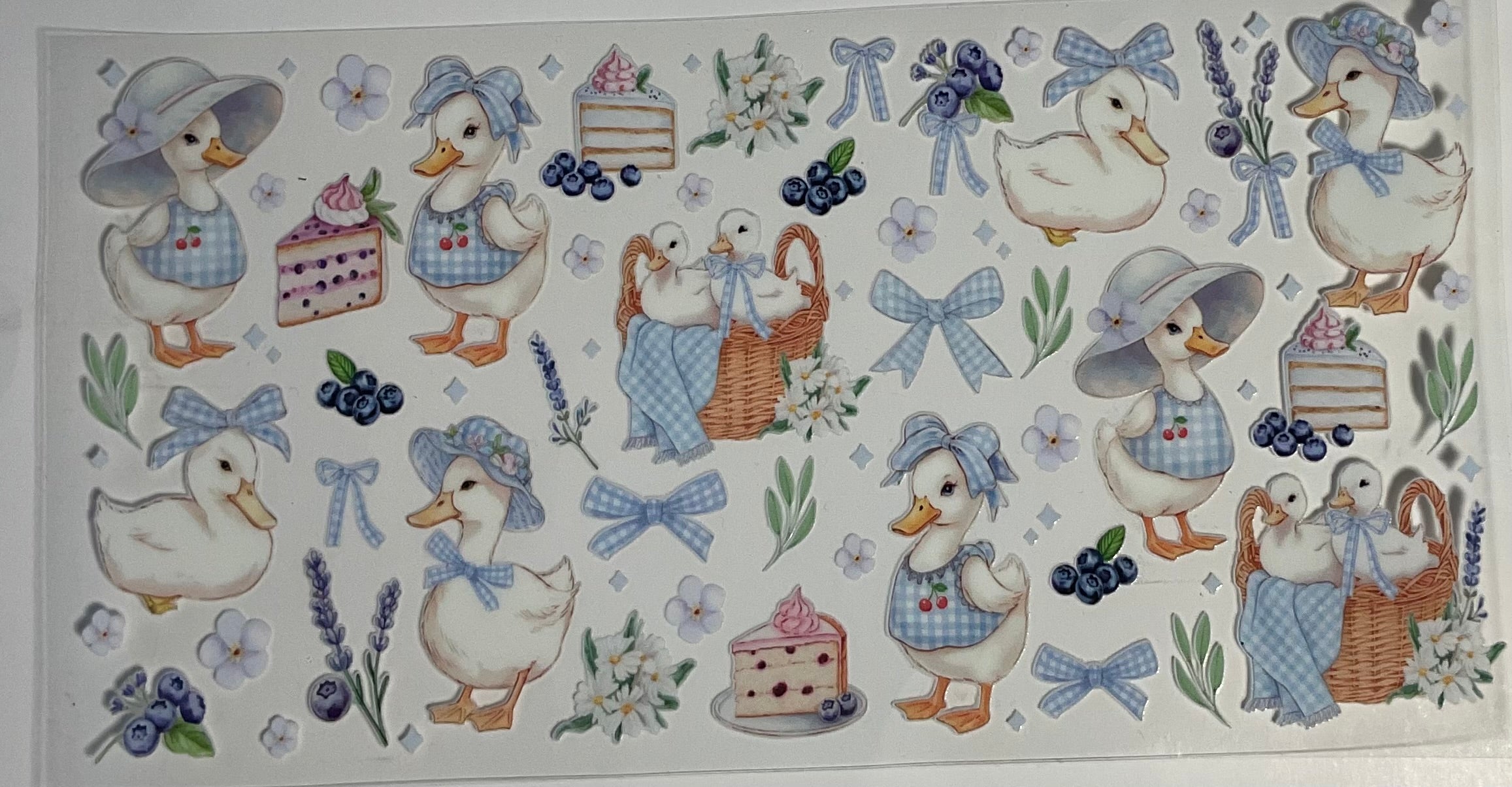 Ducks