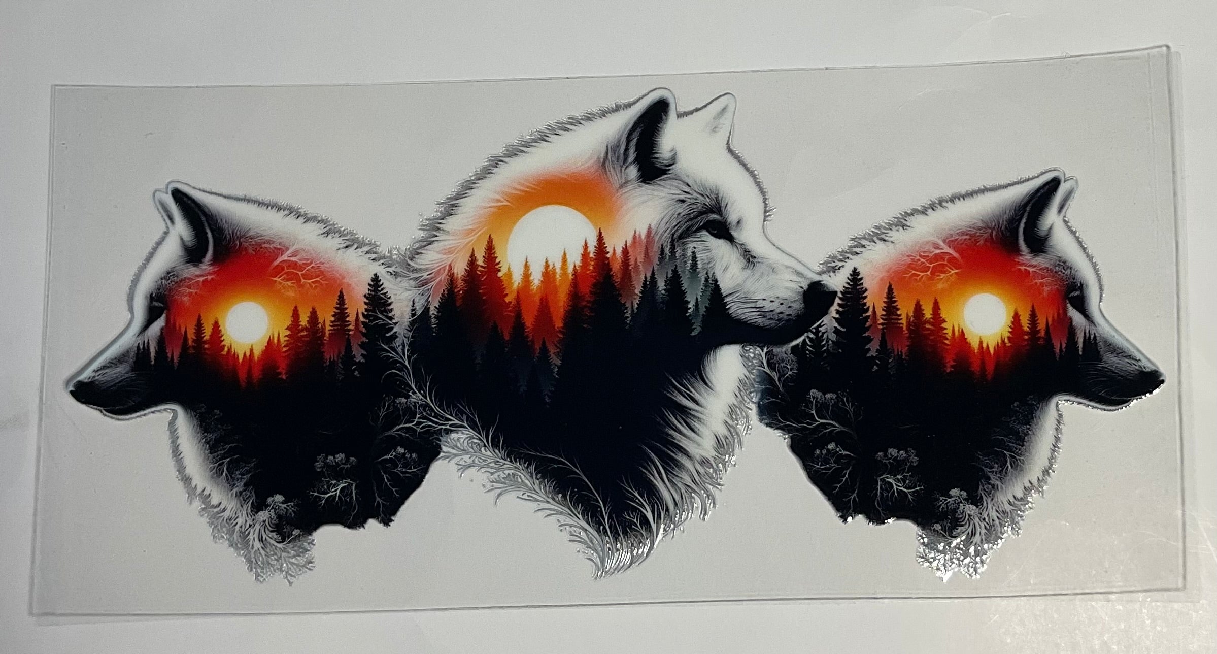 Wolf