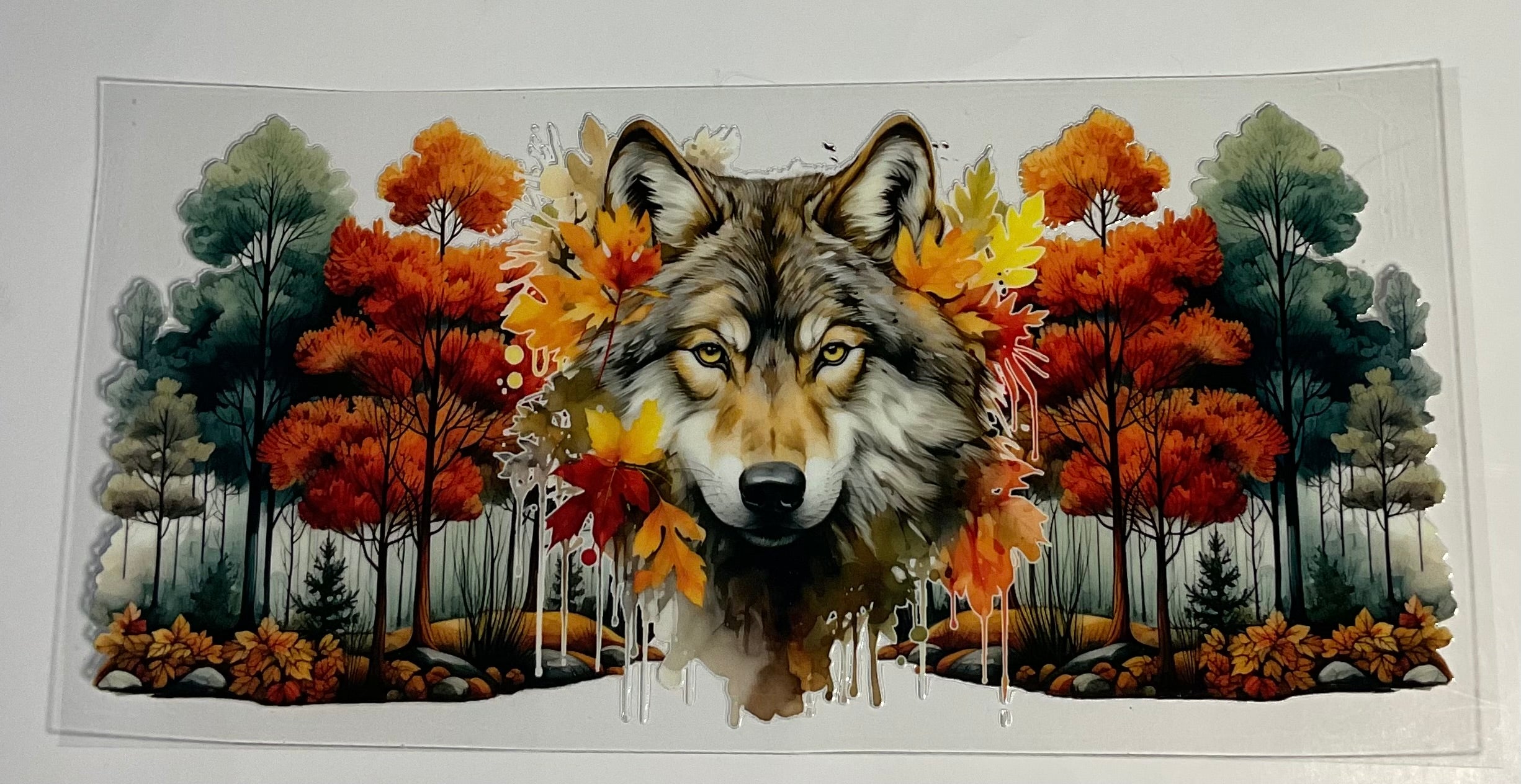 Wolf