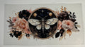 Moth