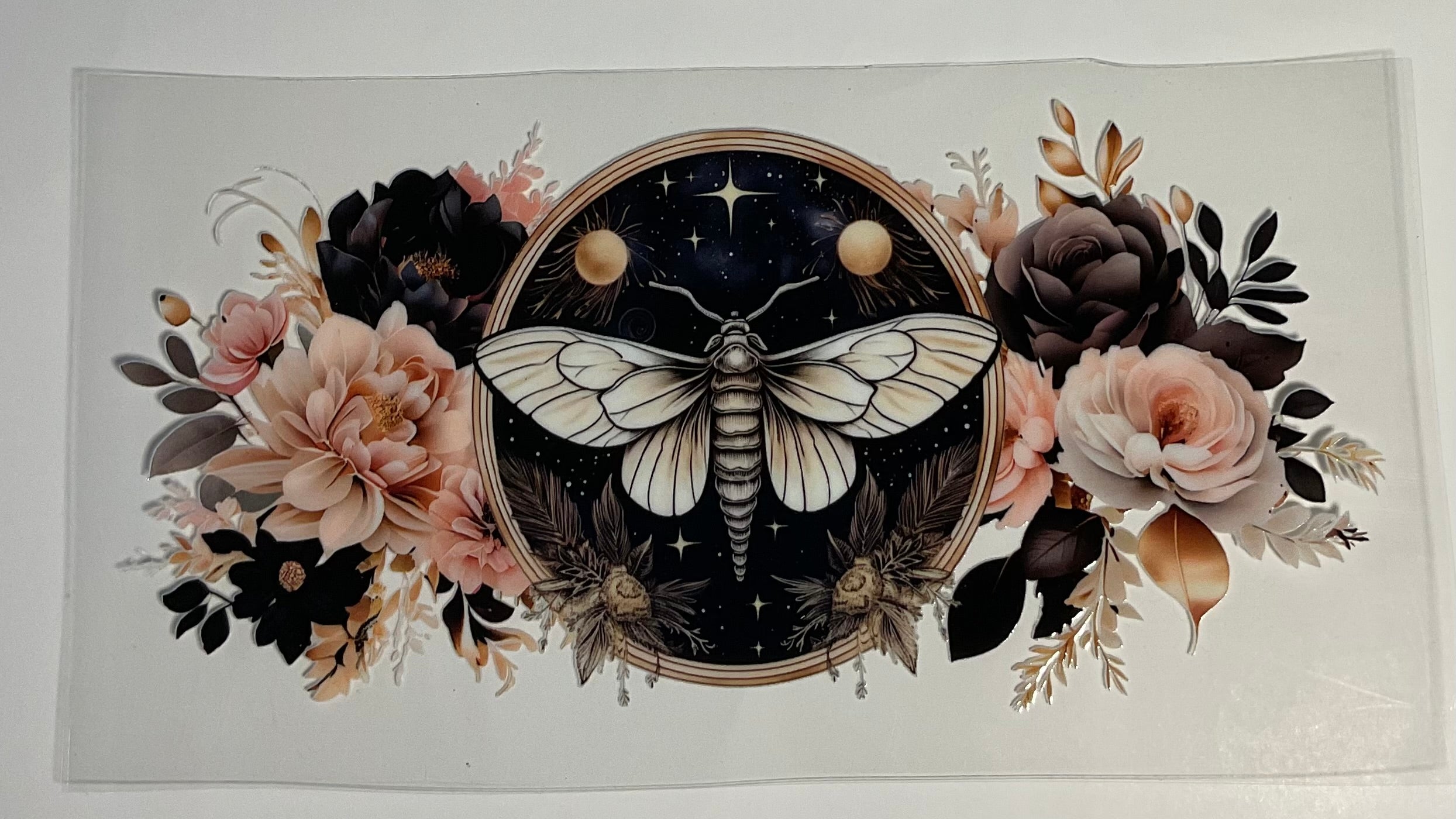 Moth