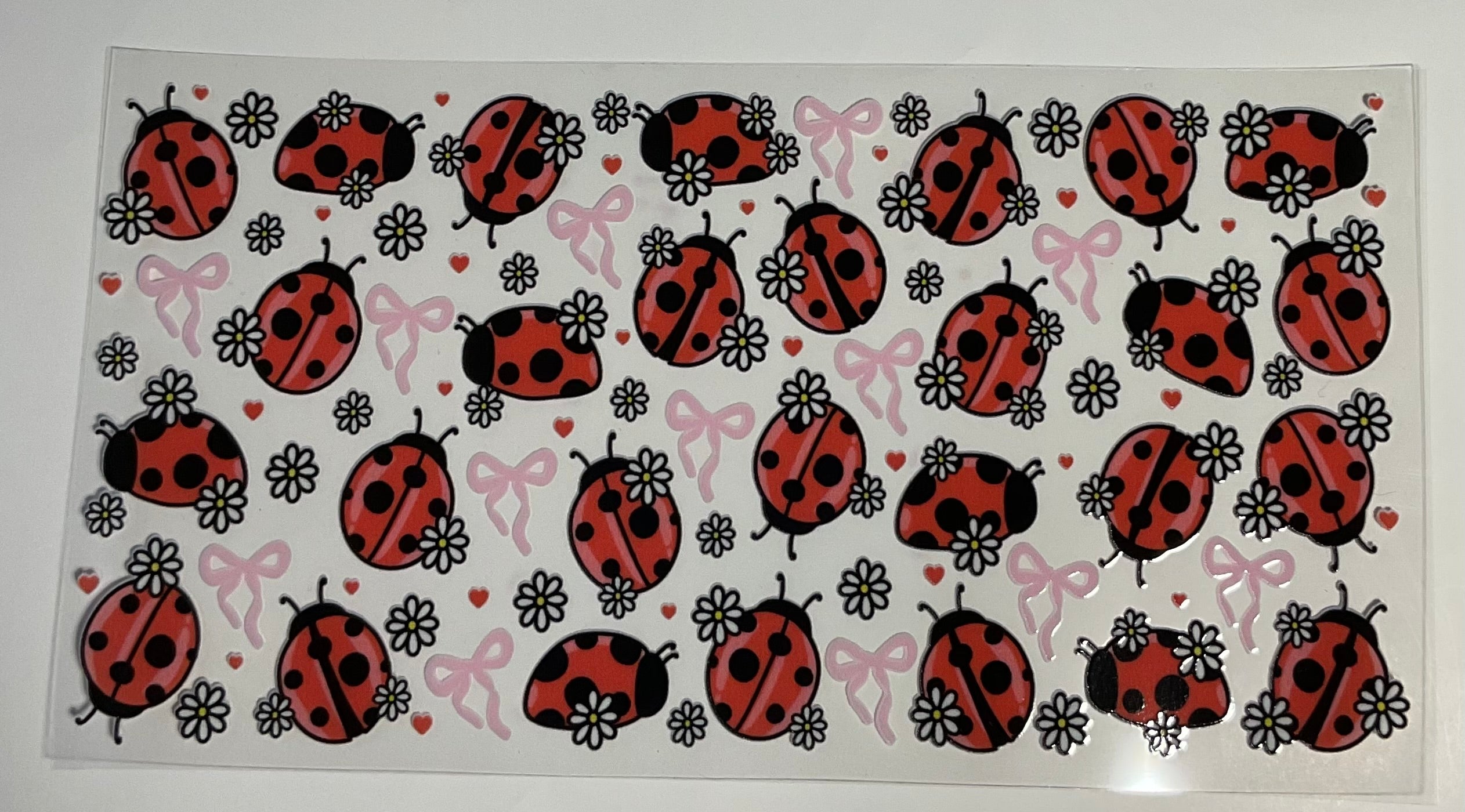 Ladybug