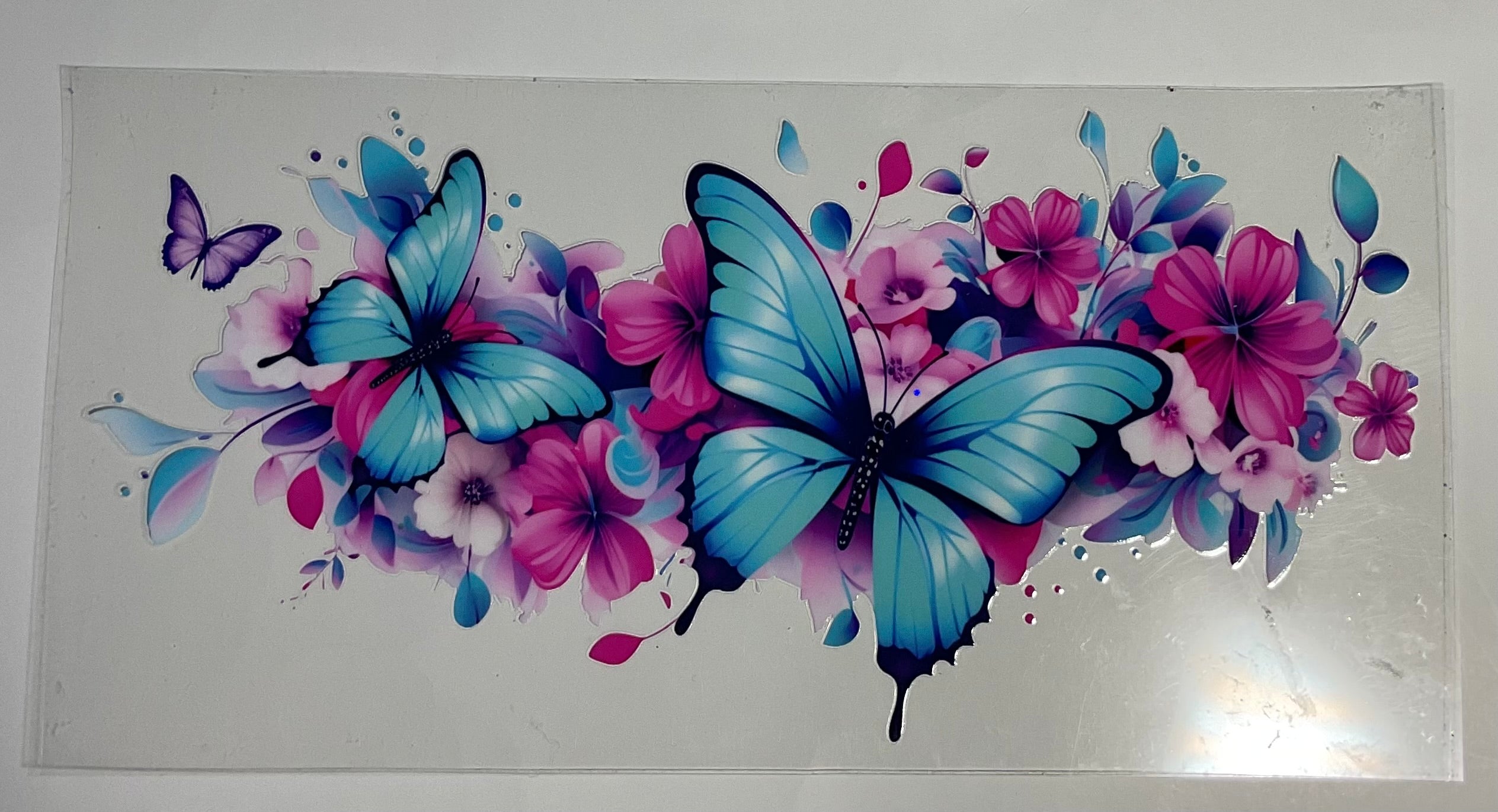 Butterfly