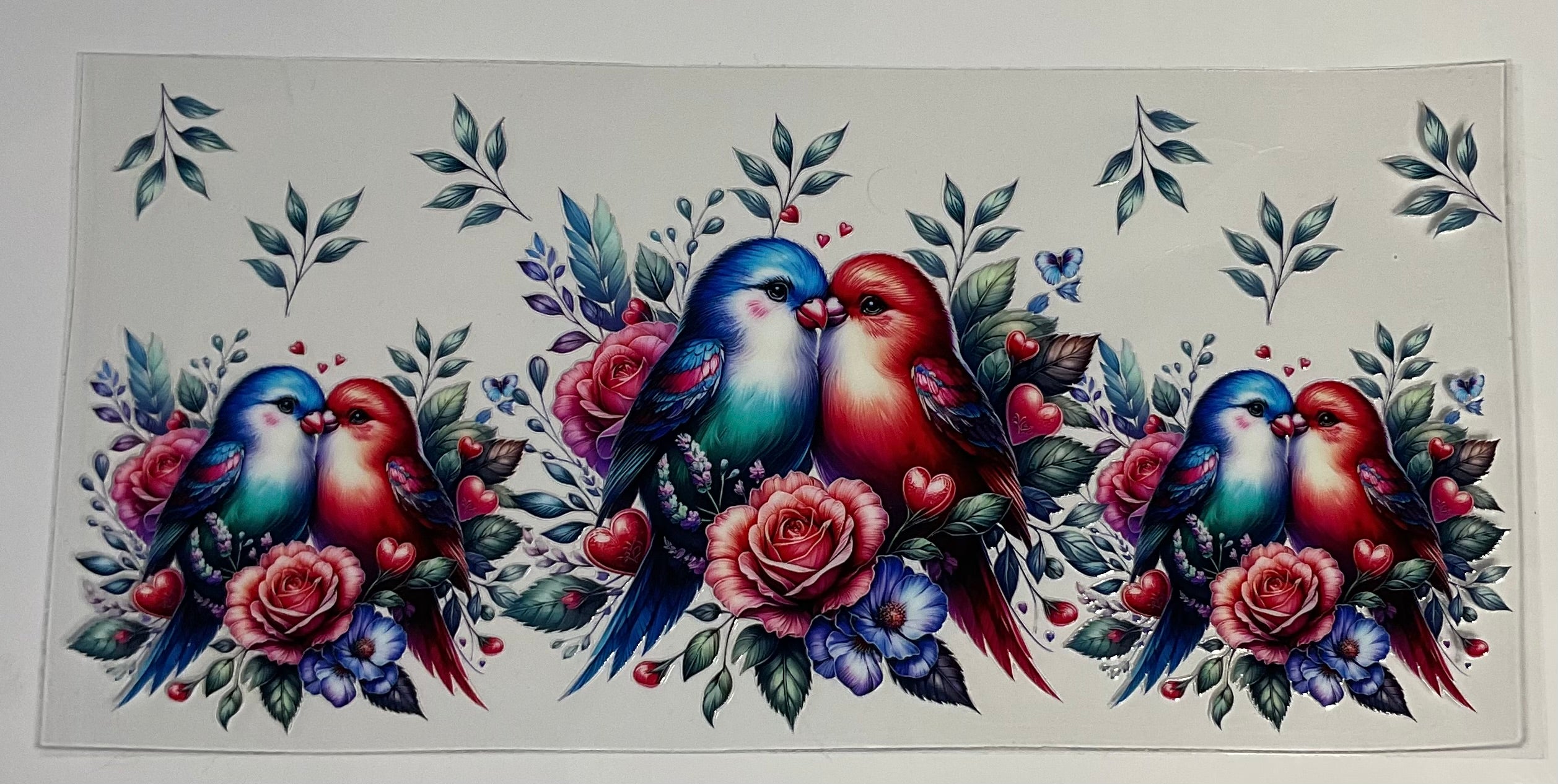 Birds