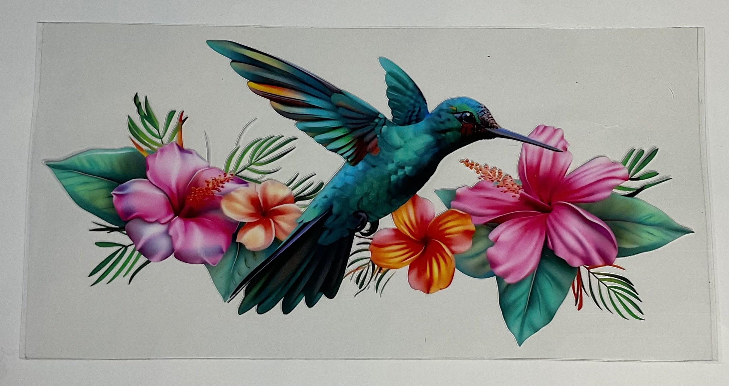 Hummingbird