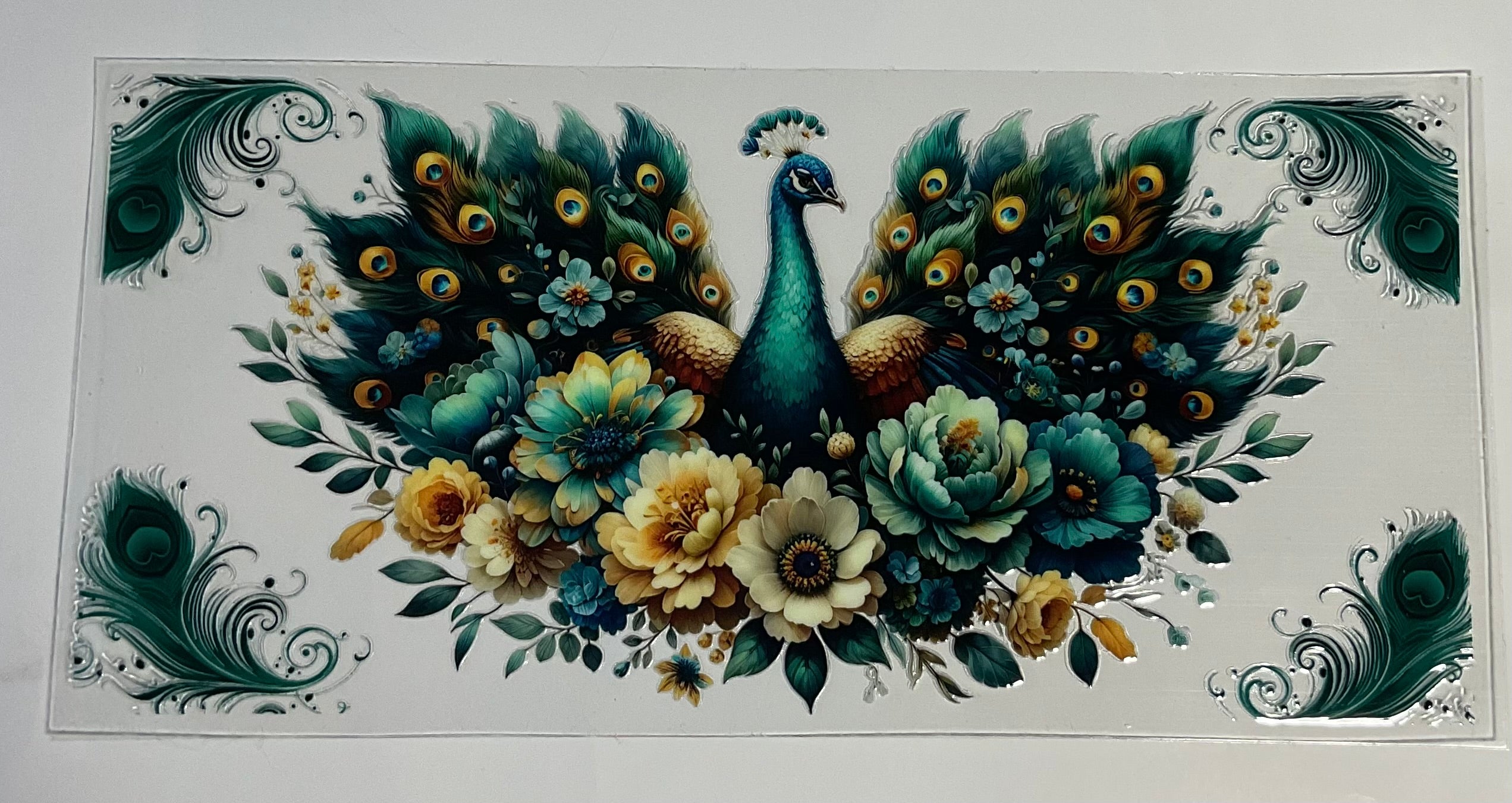 Peacock