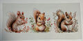 Squirrels