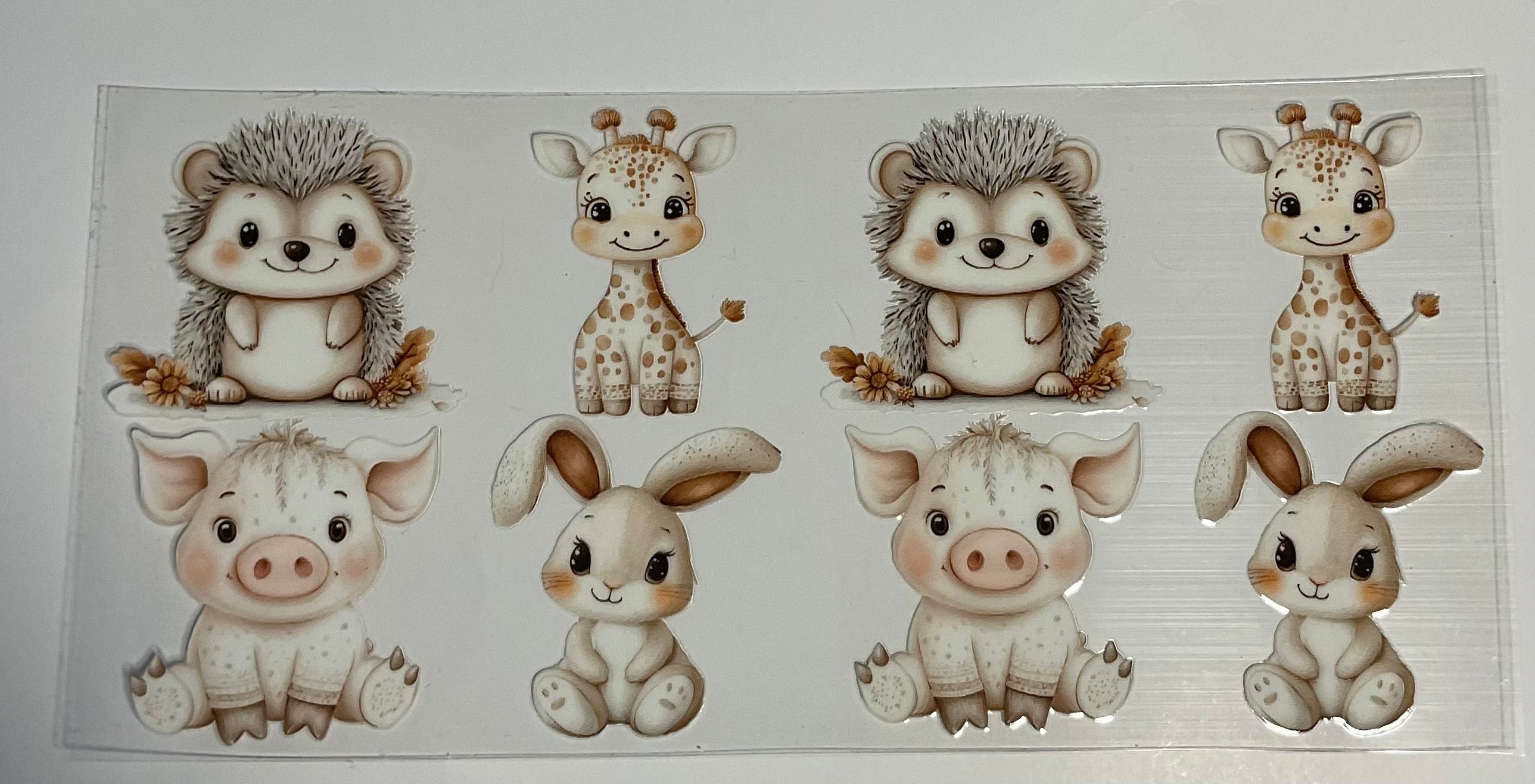Animals