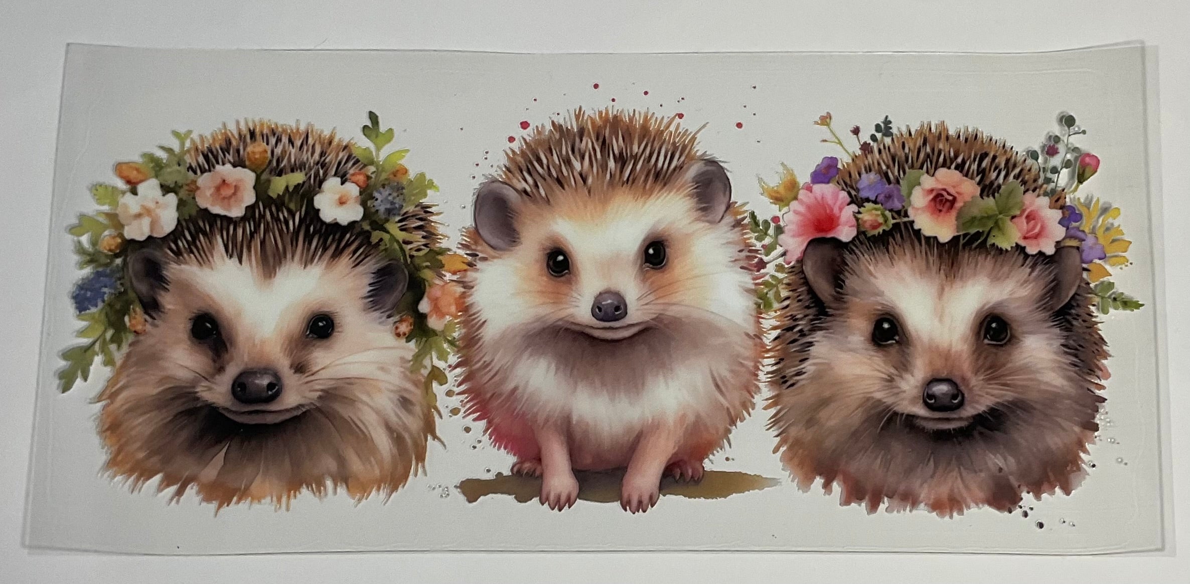Porcupine