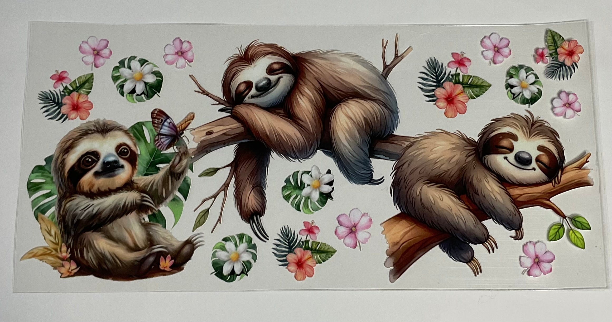 Sloth