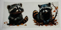 Raccon
