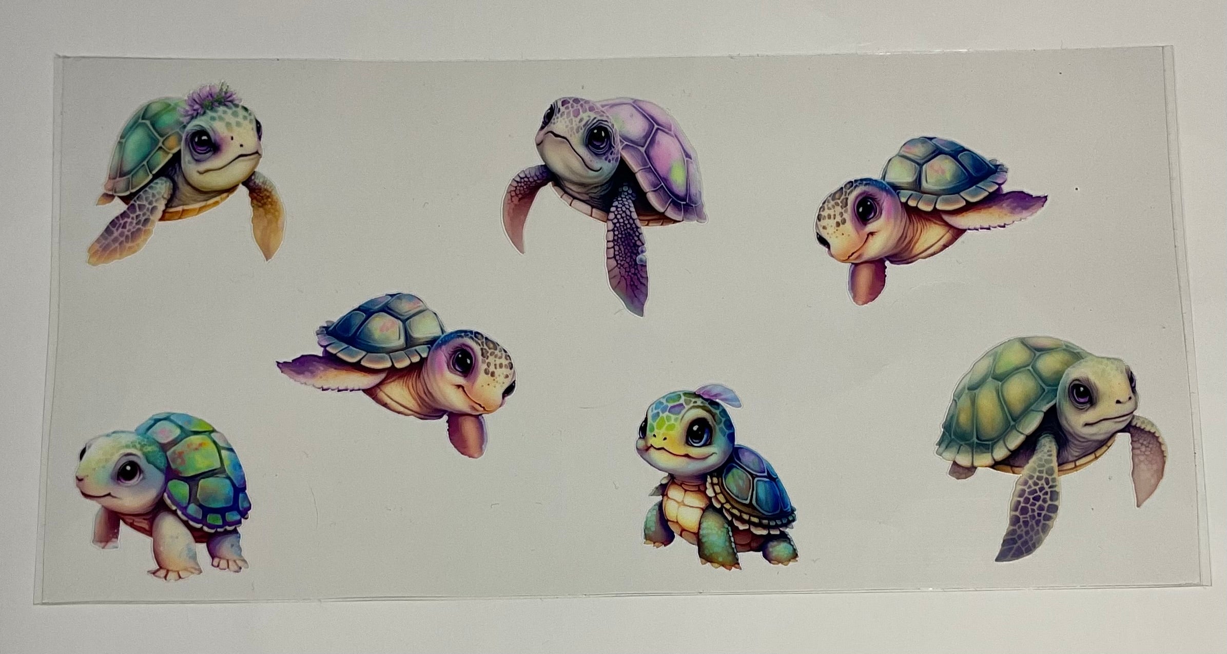 Turtles