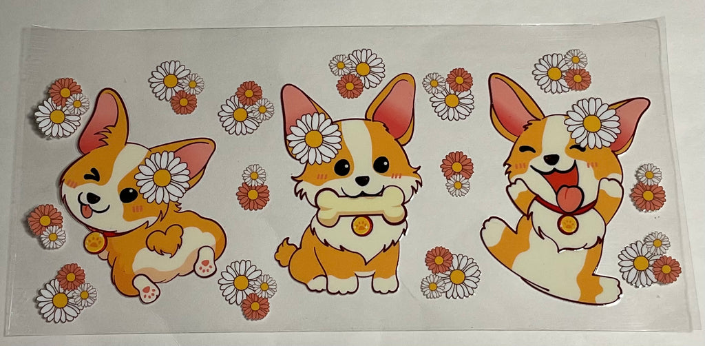 Corgi