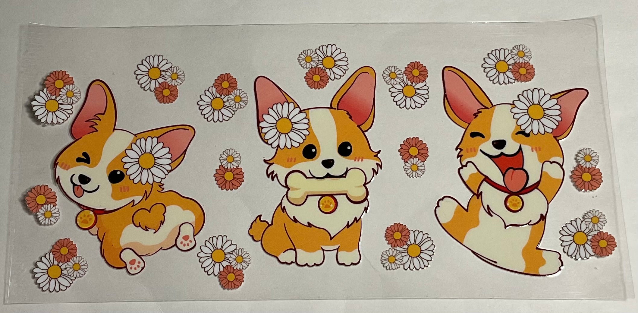 Corgi