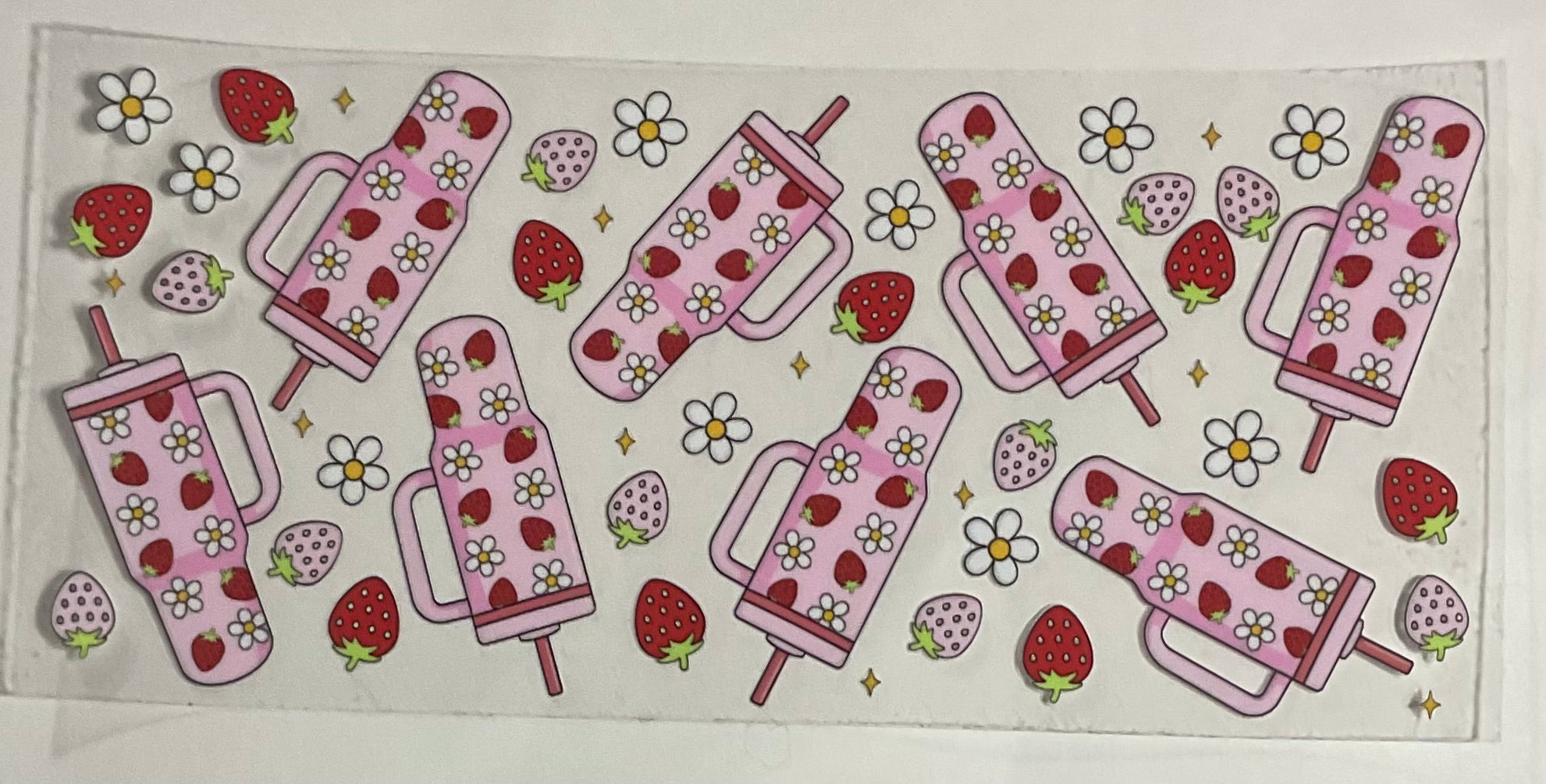 Stanley w/ Strawberries